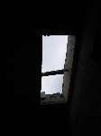 87 photo