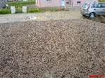 546 photo