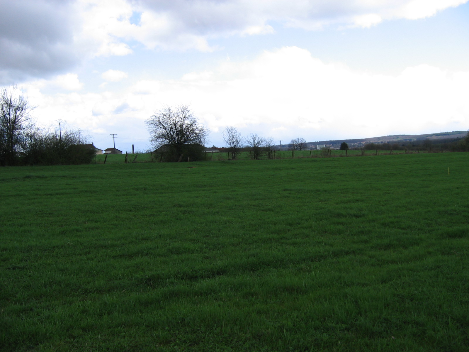 9 photo