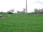 6 photo